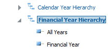 This image shows the Calendar Year and Financial Year hierarchy folders in the Operations subject area, and the first two hierarchical columns in the Financial Year hierarchy folder.