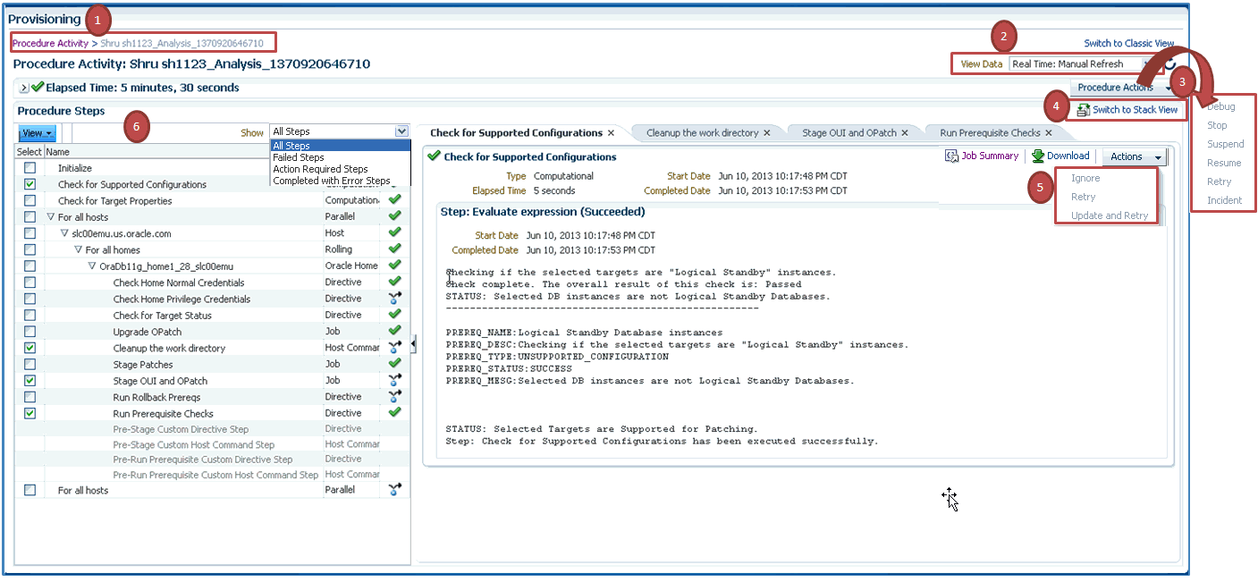 Procedure Execution Page
