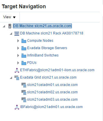 Expand the Exadata Grid in the Target Navigation Tree
