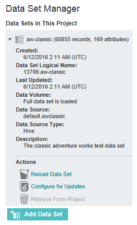 screenshot of a Data Set Manager with a data set name, data set logical name, and other characteristics of the data set.