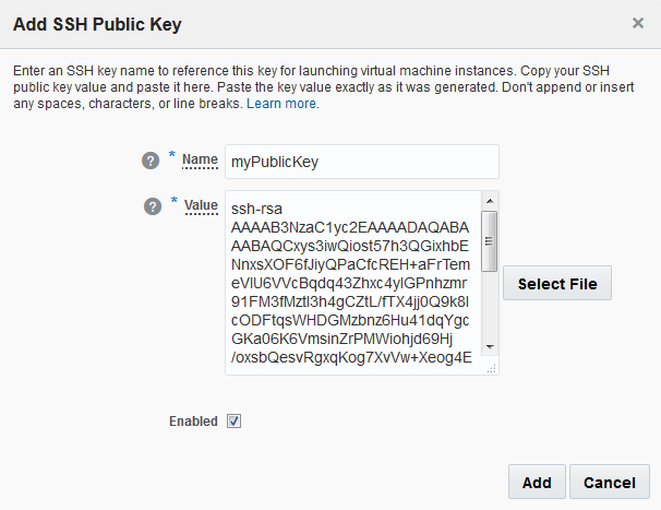 Screenshot showing an example of an SSH public key entered in the Value field.