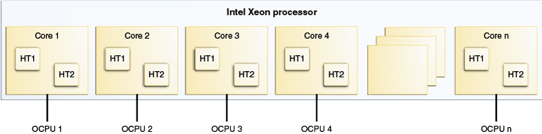 OCPUs on an Intel Xeon processor