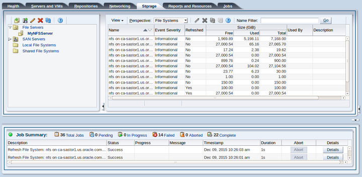 This figure shows the Storage tab with the new file server selected in the navigation pane, and File Systems perspective displayed in the management pane.