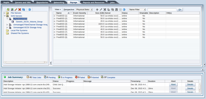 This figure shows the Storage tab with the Physical Disks table displayed in the management pane.