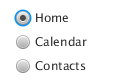 Three radio buttons: Home, Calendar, Contacts