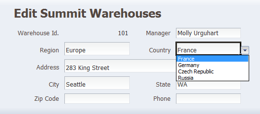 Form on Excel worksheet for editing warehouse information