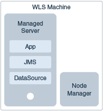 A WebLogic Managed Server with Node Manager container