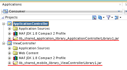 Shows the JAR files that appear in the Projects panel when you select Show Libraries in JDeveloper’s View, Application Projects menu.