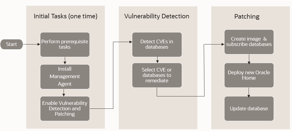 Detecção de Vulnerabilidades e Fluxo de Aplicação de Patches Detecção de Vulnerabilidades e Fluxo de Aplicação de Patches
