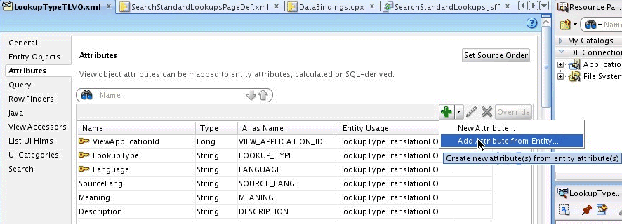Adding Attributes to Translation View Object
