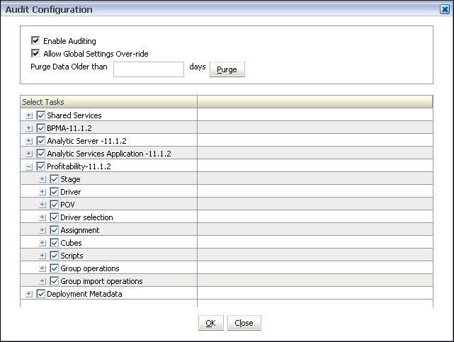 Use a tela Configuração de Auditoria para ativar a auditoria e selecione as áreas que deseja monitorar.