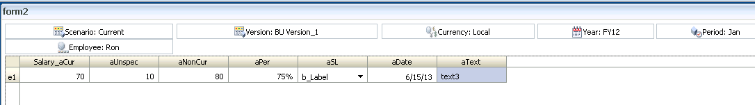 從關聯式資料來源匯入之後的 Planning 應用程式表單的範例。