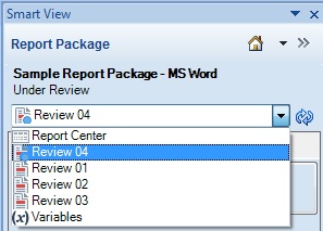 The Content Selector in the Smart View Panel, showing that Review 04 is selected.