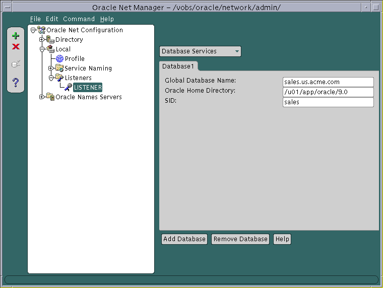 Oracle Net Manager example