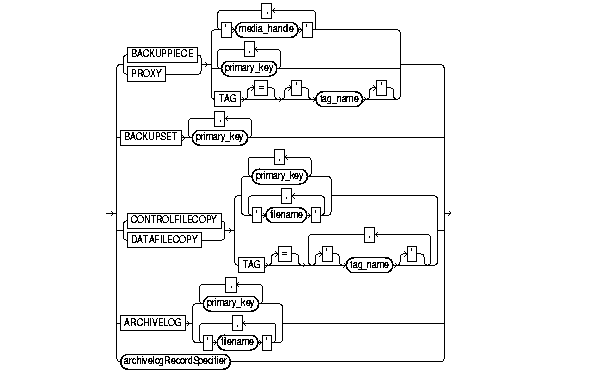 Text description of recordsp.gif follows