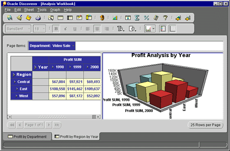 Discoverer, Analysis Workbook