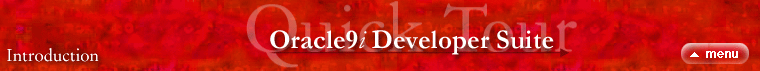 Oracle9iDS - Introduction