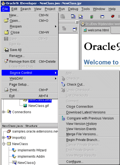 Source Control Menu in JDeveloper