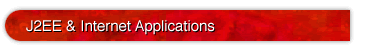 J2EE and Internet Applications
