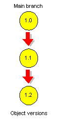Object versions