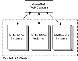 Text description of 9ias_clu.gif follows.