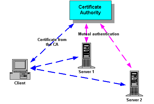 Illustration shows the process of certificate verification as described above
