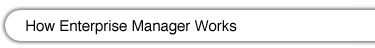 How Enterprise Manager Works