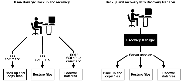 Text description of sbr81080.gif follows