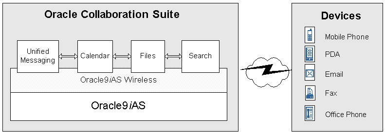 Text description of nsv_csar.gif follows.