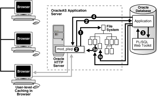 Description of asper017.gif follows