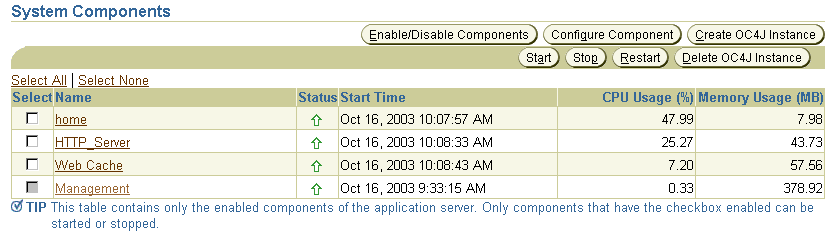 System Components Table on the Application Server Home Page