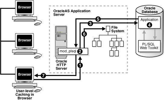 Description of asper016.gif follows