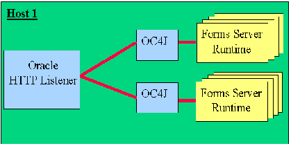 Multiple OC4J instances and HTTP listener on the same host.