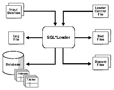 Text description of sut81088.gif follows