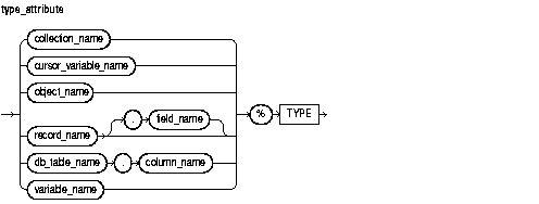 Text description of type_attribute.gif follows