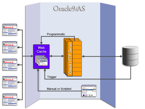 Web cache interacting with both HTTP server and back-end.