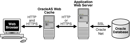 Text description of owcag027.gif follows