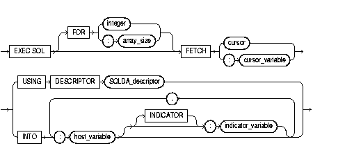 Description of fetcho.gif follows