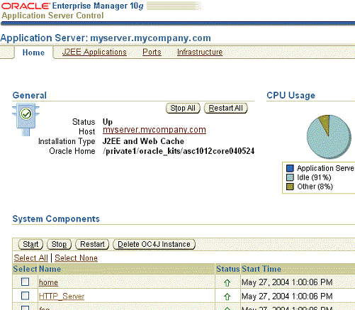 Application Server Control Instance Home page
