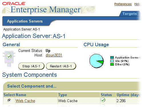 Oracle Enterprise Manager screen