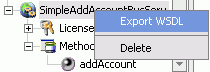 Export wsdl option
