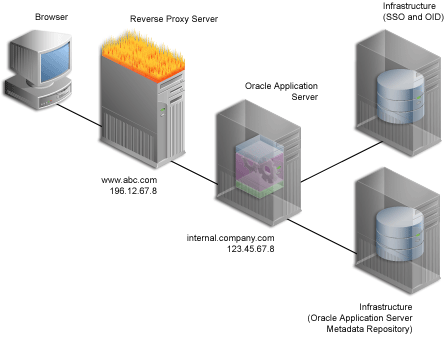 Description of cg_topo_example_proxy.gif follows