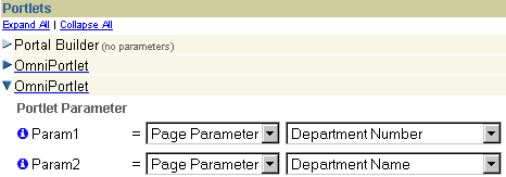Shows Portlet Parameter values section.