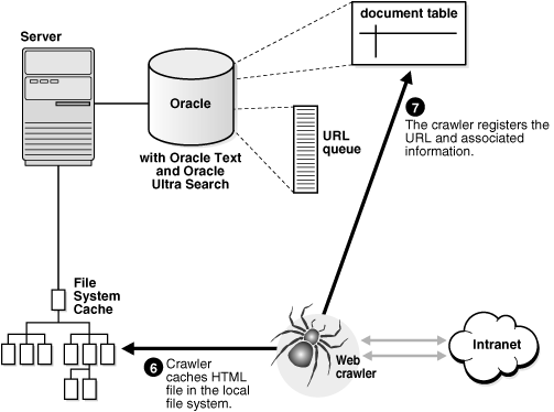 oracle ultrasearch