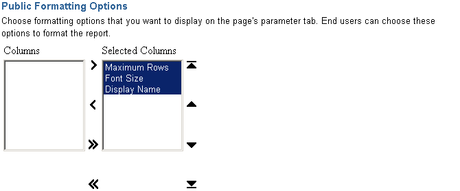 Shows Public Formatting Options for Customization Form