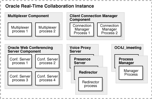 A Real-Time Collaboration instance with its components and their processes.