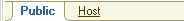 Chat tools: Public and Host tabs.