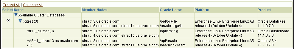 Select Real Application Clusters (RAC)