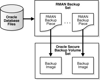 Shows that one backup piece is one image.