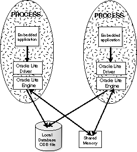 multiple process applications with single database.